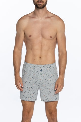 Boxer - Gemêleerd Grijs