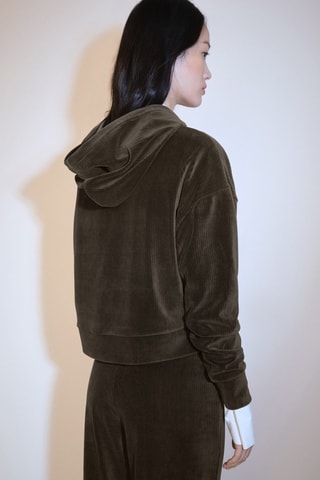 Sweat-shirt capuche velours côtelé - Kaki