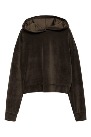 Sweat-shirt capuche velours côtelé - Kaki