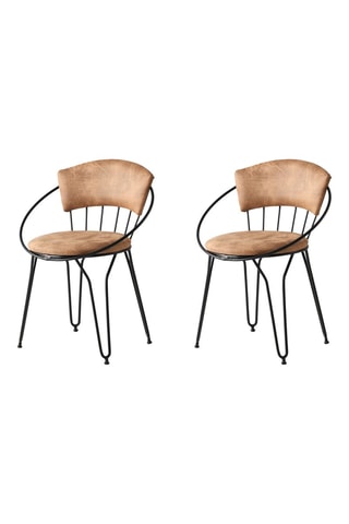 2 chaises - 60 x 50 x 76,5 cm