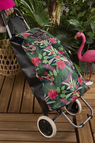 Chariot de course Vert et rose