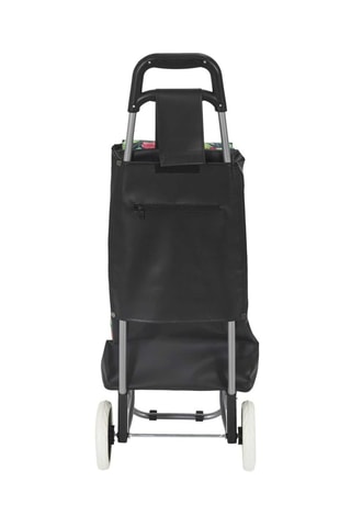 Chariot de course Vert et rose