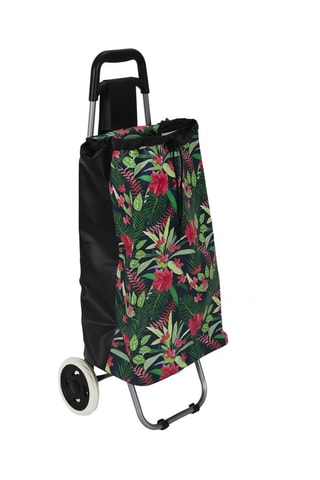 Chariot de course Vert et rose