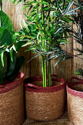 3 paniers de rangement - 27,9, 30 et 35 cm - Naturel et rouge