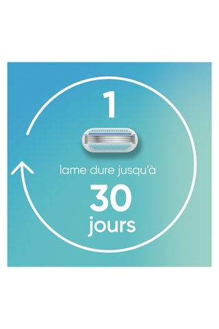 8 lames Gillette Venus Smooth