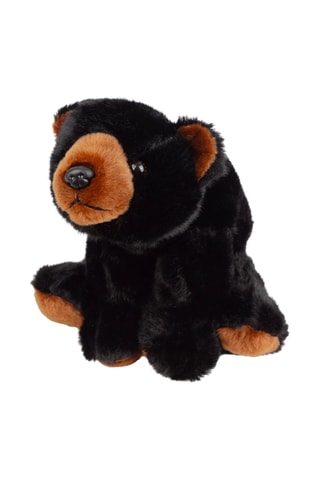 Peluche orso 