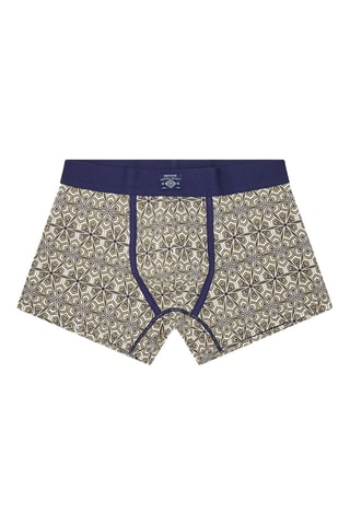 Bóxer de algodón orgánico - Caqui y violeta