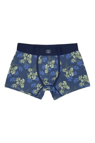 Bóxer - Azul cobalto