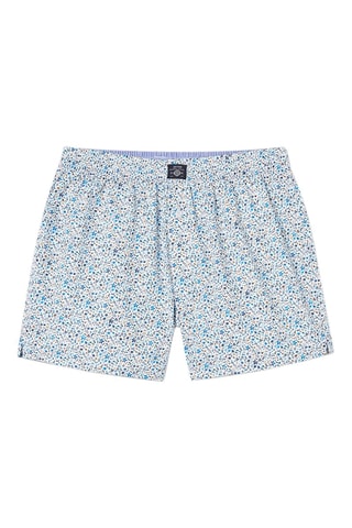 Calzoncillo - Blanco y azul