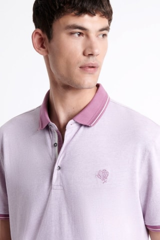 Polo - Violeta