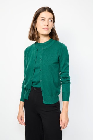 Vest en Trui - Groen