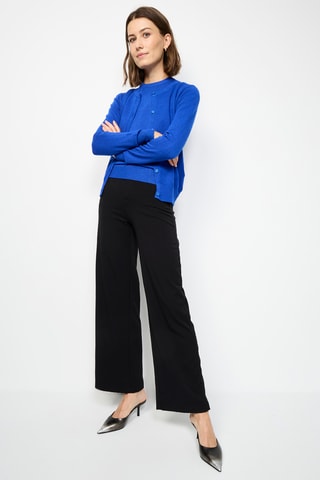 Vest en Trui - Blauw