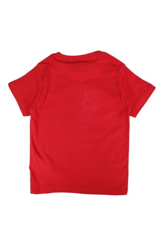 Camiseta  - Rojo y gris