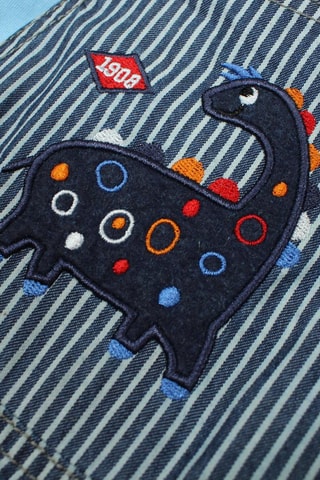 Polo y peto  - Blanco, azul, amarillo, negro y rojo