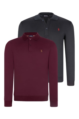 2 Polo's Paars en donkerblauw