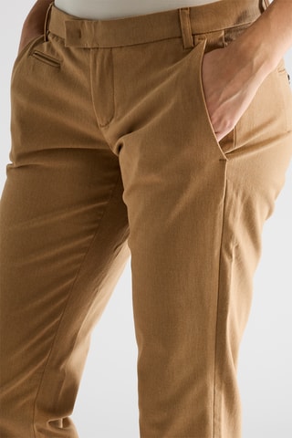 Chino - Camel