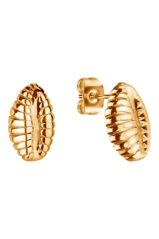 Conjunto Shell Queen - Dourado