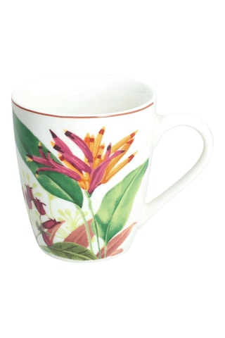 6 tazas de porcelana Madison Tropicalia - 37 cl