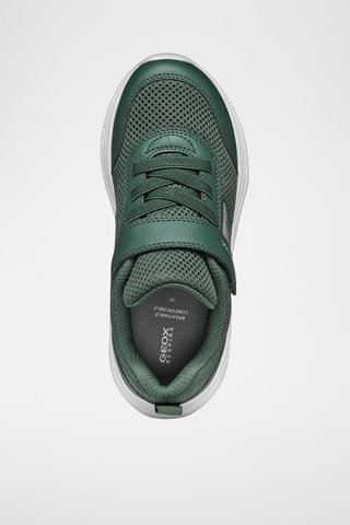 Tennis Sprintye - Vert foncé