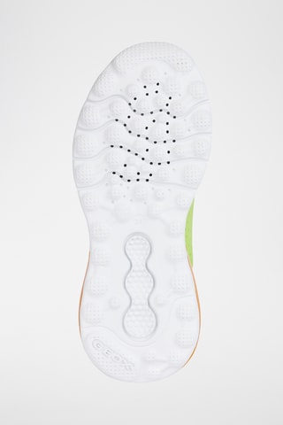 Tennis Calzature - Vert clair