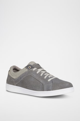 Baskets en nubuck Warrens - Anthracite