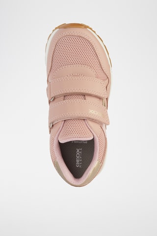 Baskets Pavel - Rose