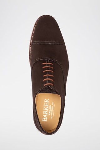 Oxford in pelle scamosciata Niven  - Marrone