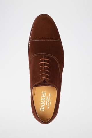Oxford in pelle scamosciata Niven  - Marrone