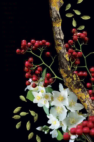 Discovery Mauboussin Eau de Parfum 100 ml - Boisé, Aromatique, Hespéridé