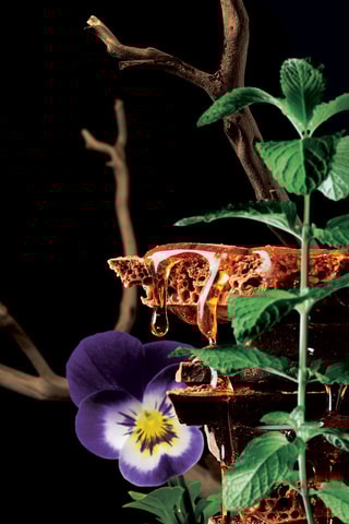 Pour Lui In Black Mauboussin - Eau de parfum 100 ml - Legnoso orientale