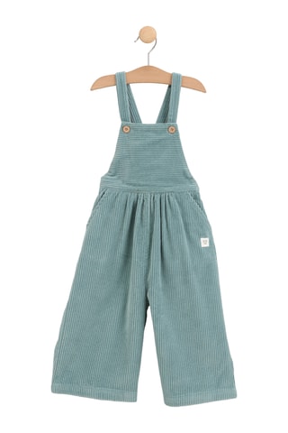 Peto de pana - Verde