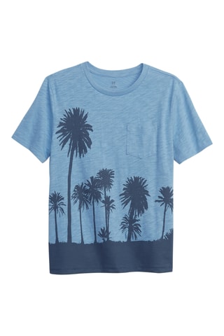 T-shirt in cotone bio - Celeste e grigio