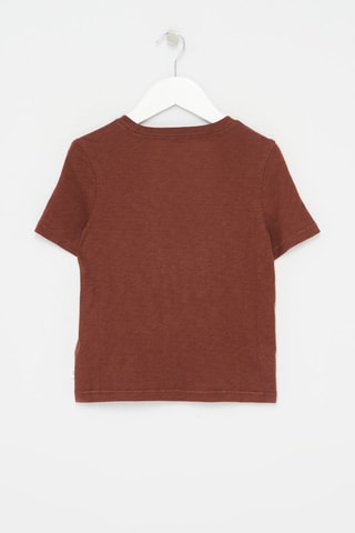 T-shirt in cotone bio - Marrone melange