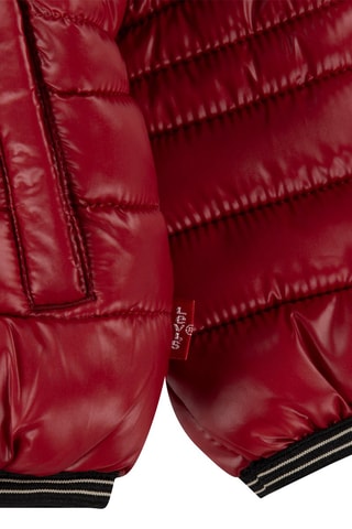 Blouson à capuche - Bordeaux