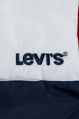 Doudoune à capuche Bleu marine