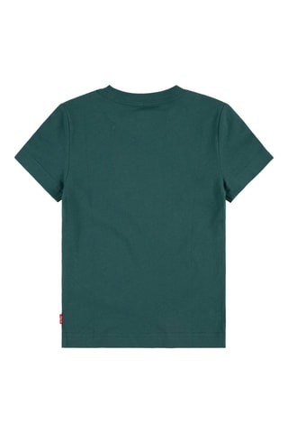 T-shirt - Vert