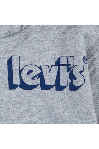 Sweat à capuche Gris