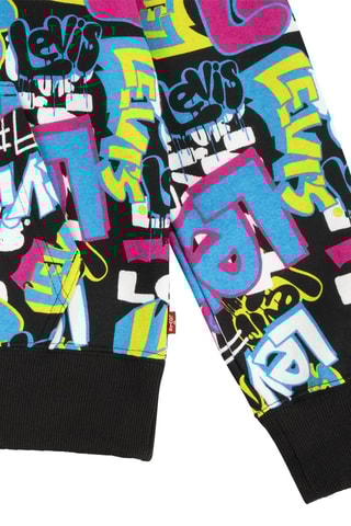 Sweat à capuche - Noir, bleu, vert et rose