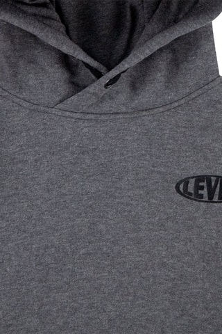 Sweat à capuche Gris