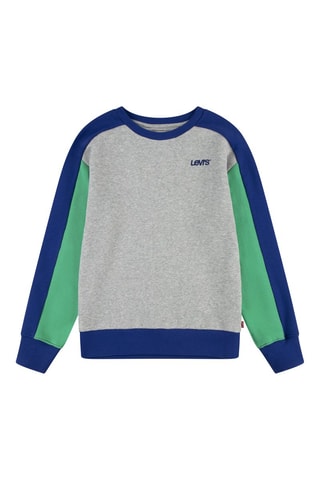 Sweat en coton biologique - Gris