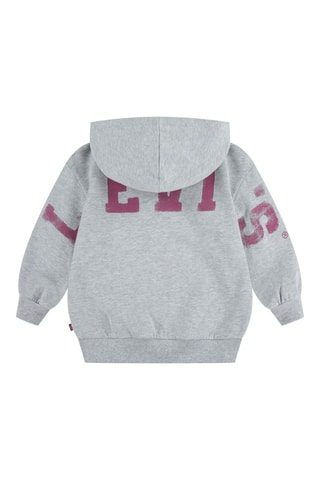 Sweat à capuche - Gris