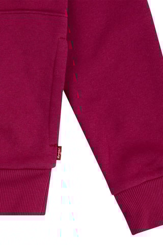 Sweat à capuche - Rouge