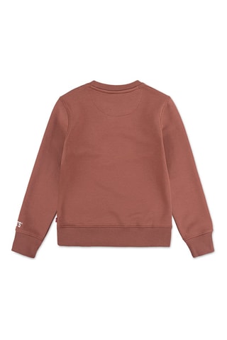 Sweat en coton biologique - Rose