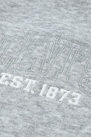 Sweat à capuche - Gris clair chiné