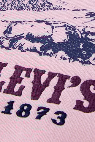 Sweat à capuche - Rose