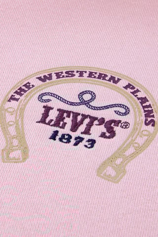 Sweat à capuche - Rose