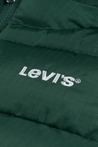 Doudoune à capuche - Vert foncé et bleu marine