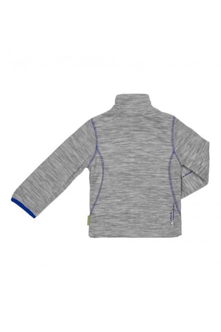 Veste polaire Ecastel - Gris