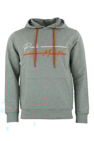 Sweat à capuche Codek - Gris clair