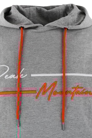 Sweat à capuche Codek - Gris clair